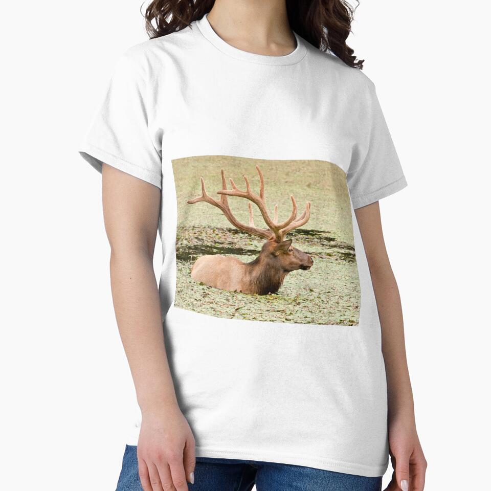 Elk In Pond 2 by Michael Cummings