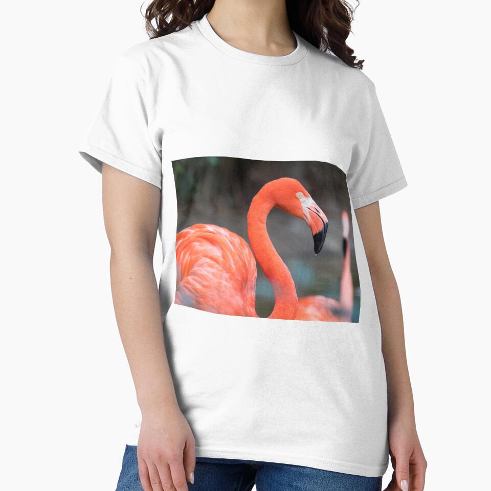 Flamingo Dreams by Jacquelie