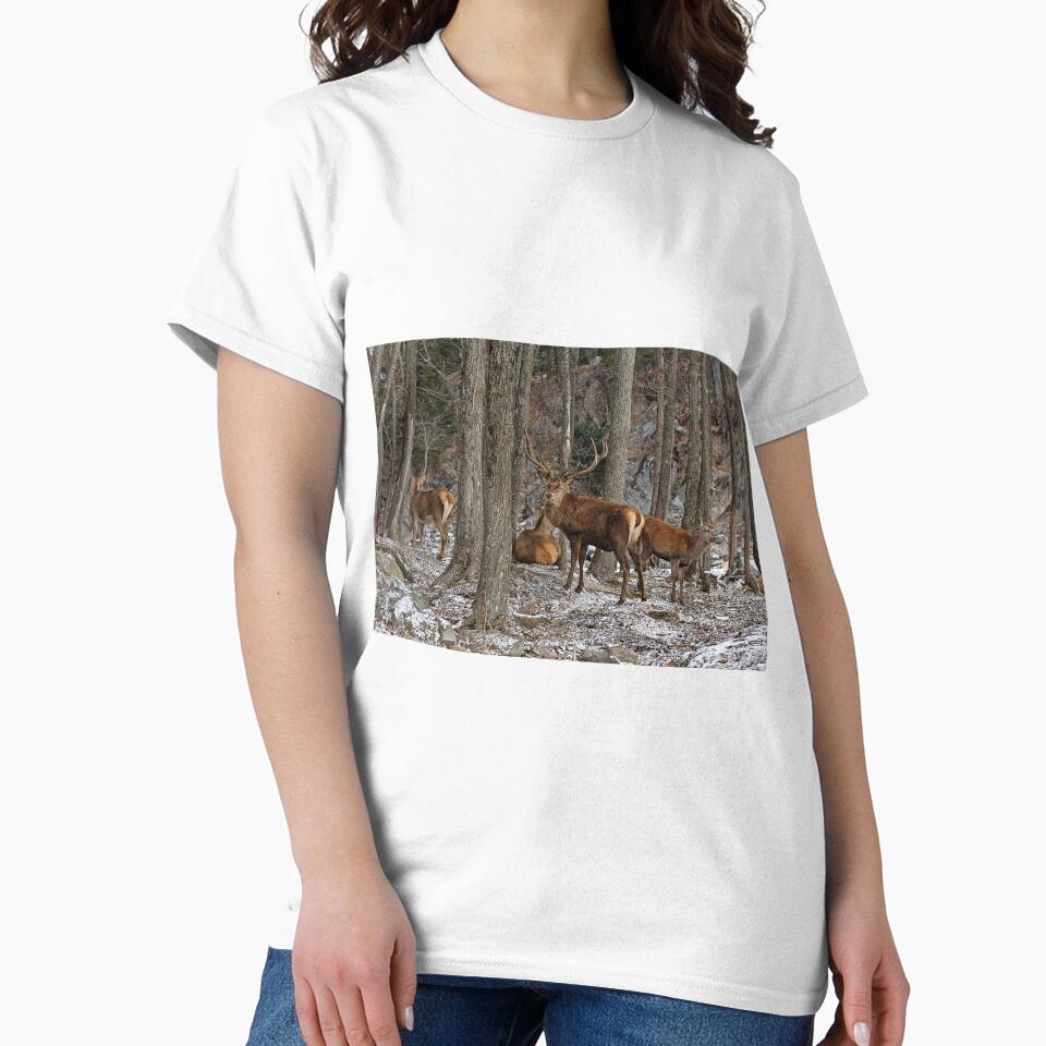 Elks In The Woods by Michael Cummings