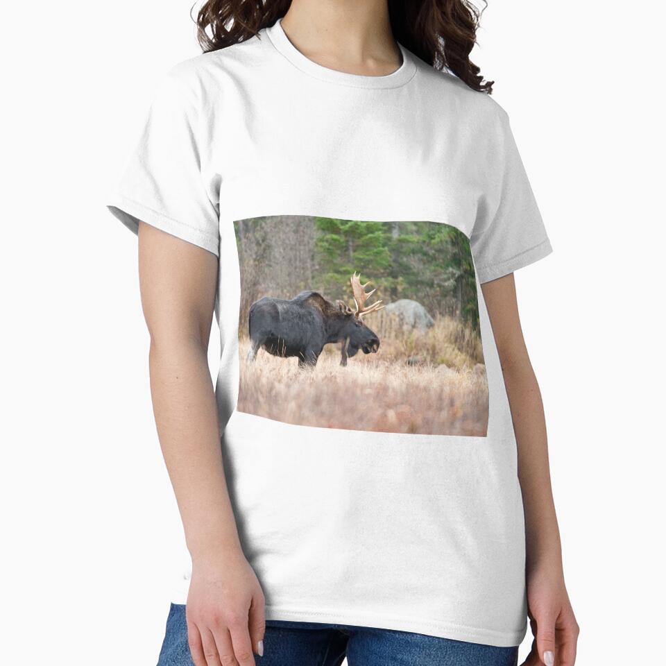 Bull Moose In Field by Michael Cummings