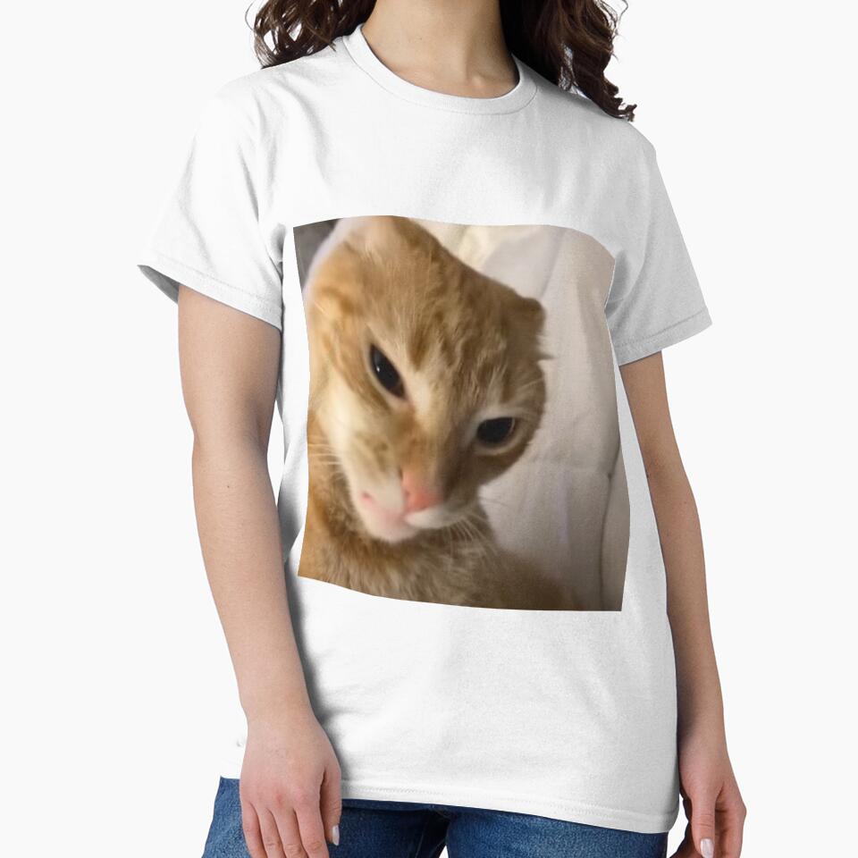 Angry orange cat meme by MARTBOMM
