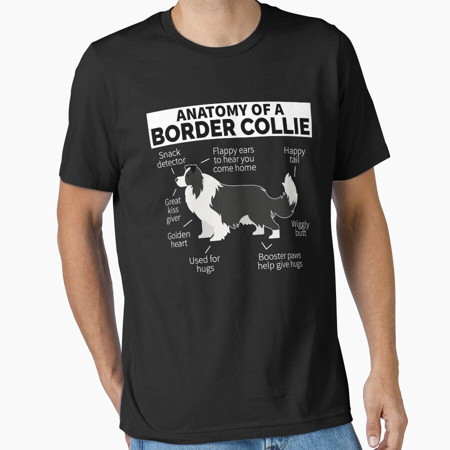 Border Collie Dog Anatomy by designeclipse