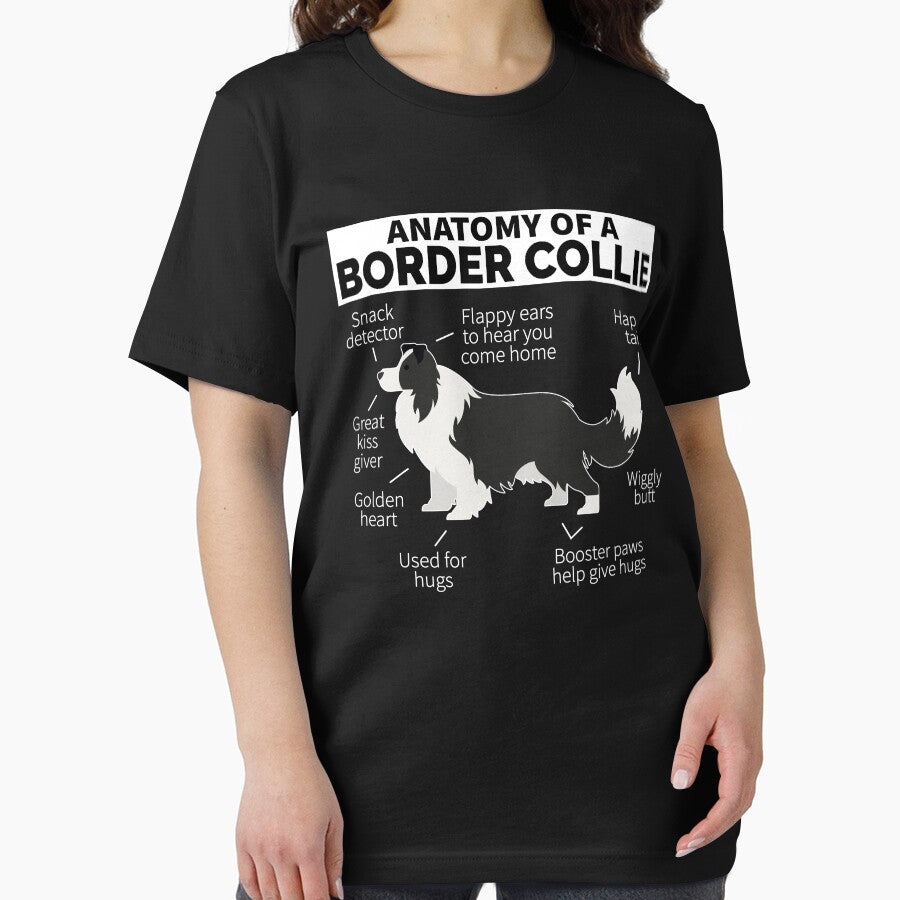 Border Collie Dog Anatomy by designeclipse