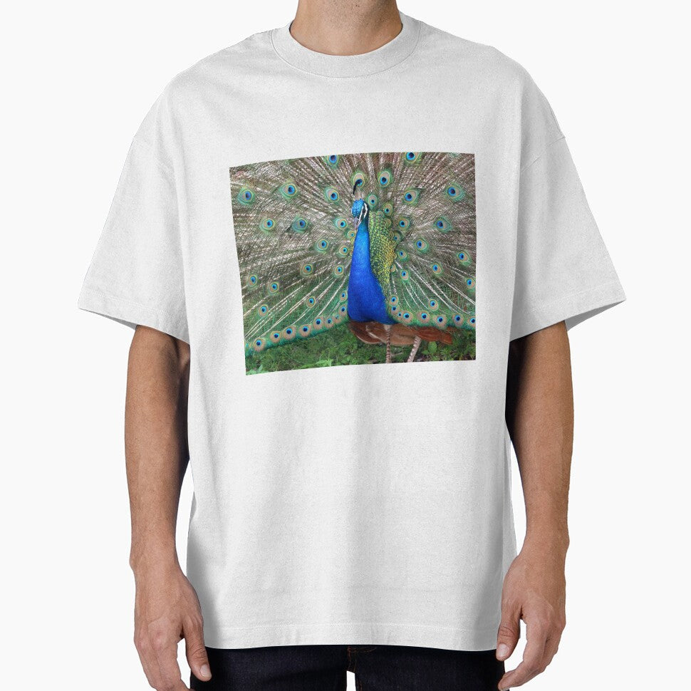 PEACOCK by TomBaumker