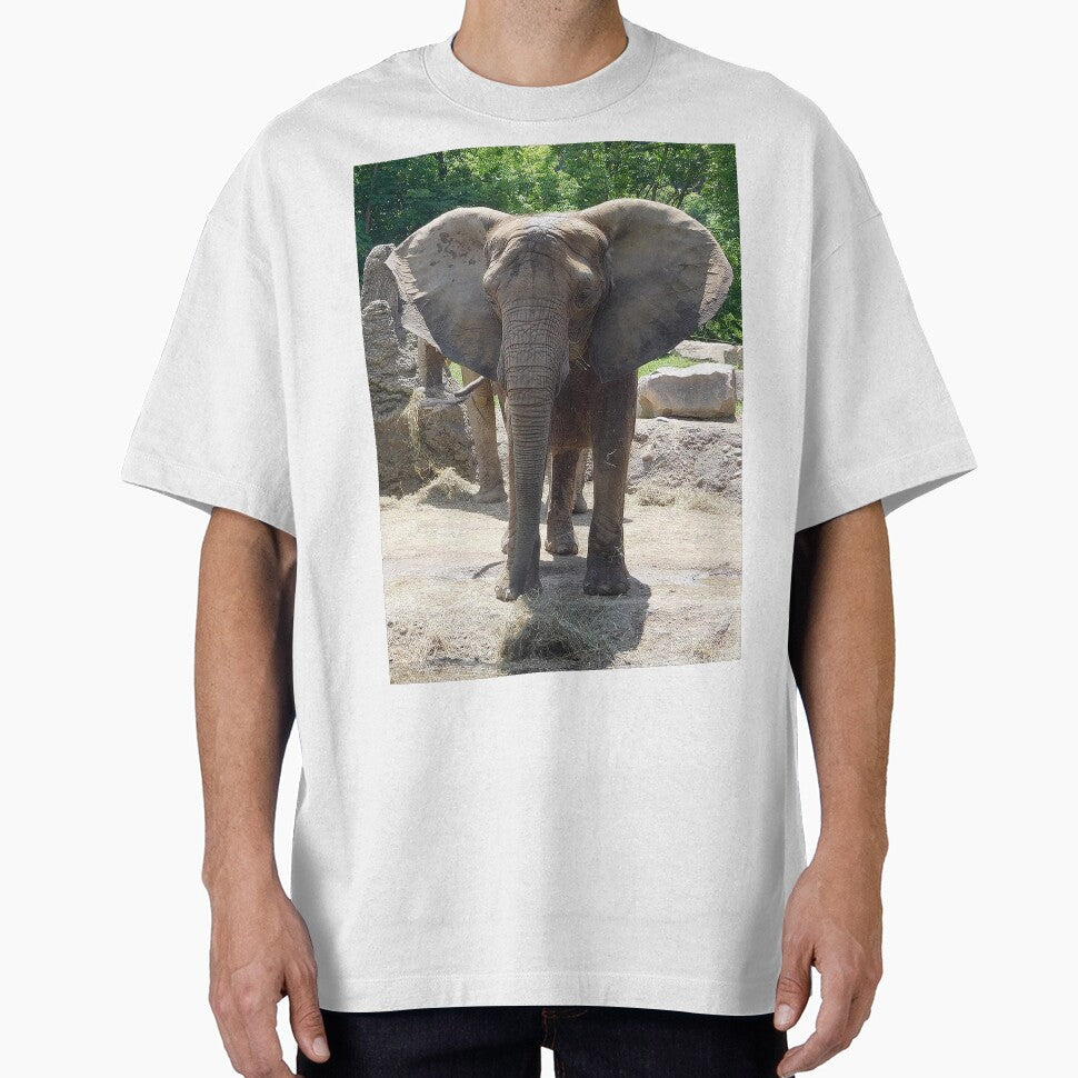 African Elephant by priesterjen