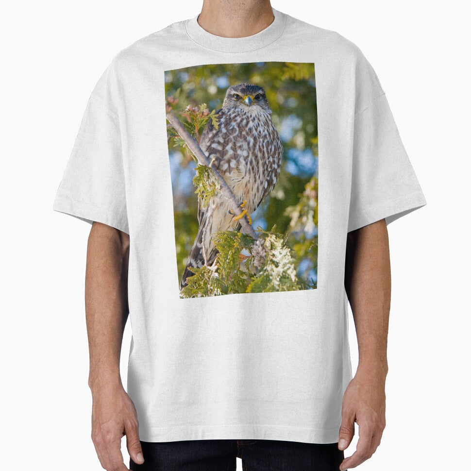 Merlin Falcon by Michael Cummings