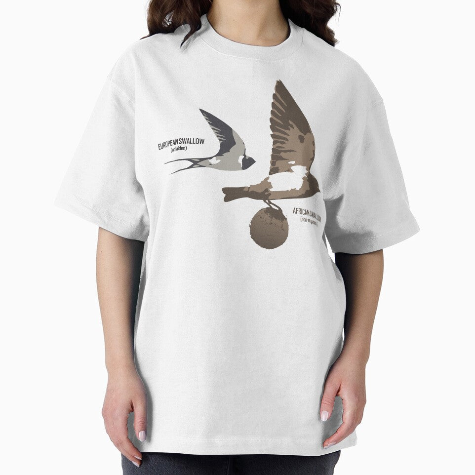 European and African Swallow by Expressman