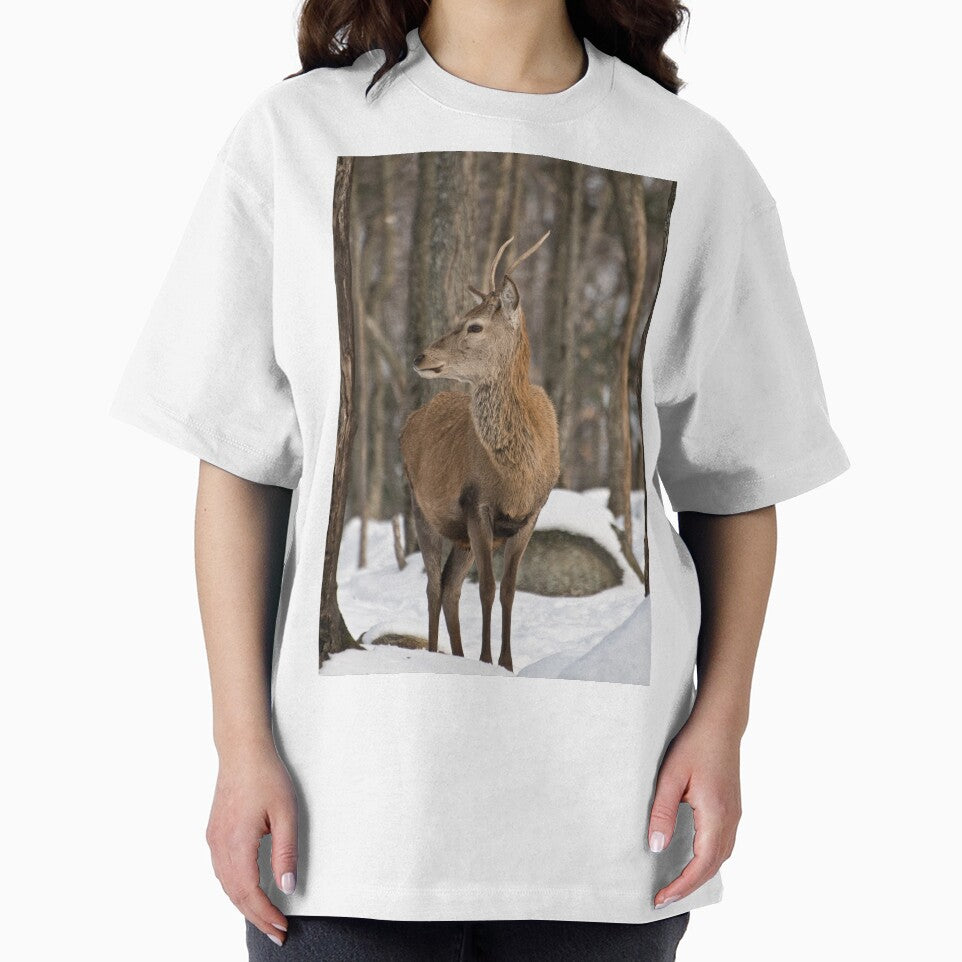 Young buck by Tracey  Dryka