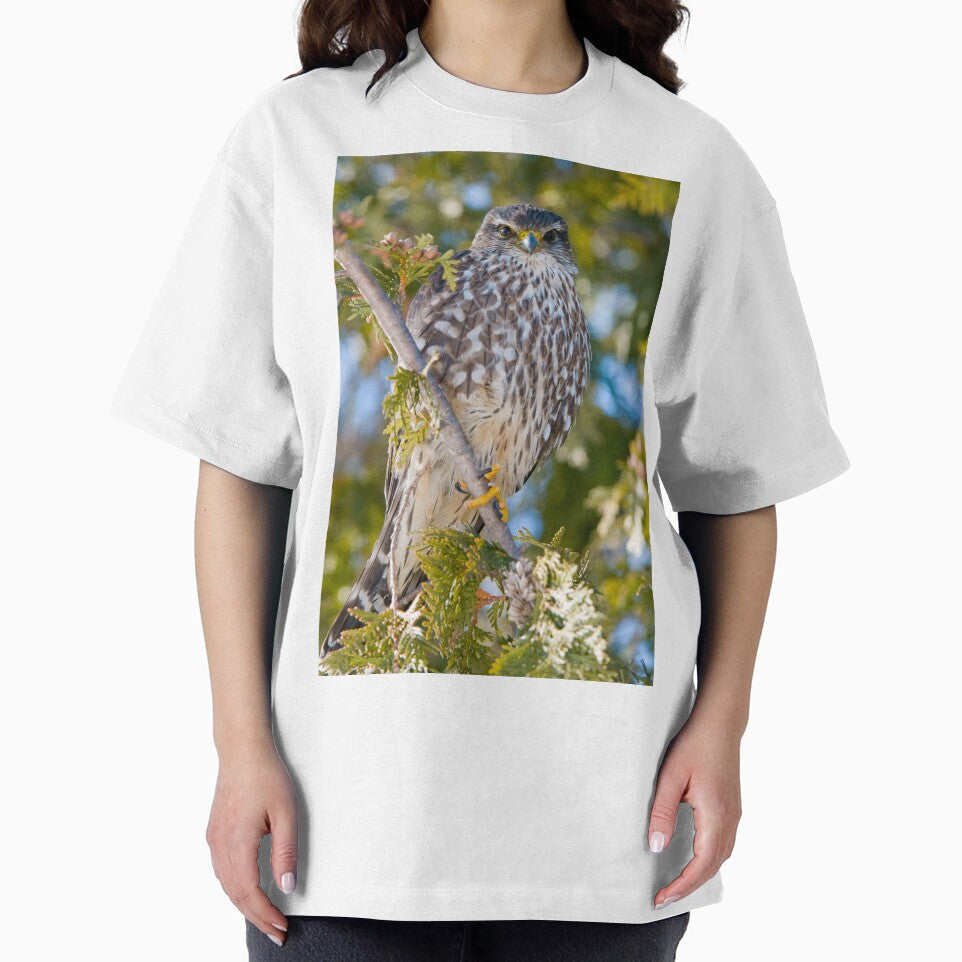 Merlin Falcon by Michael Cummings