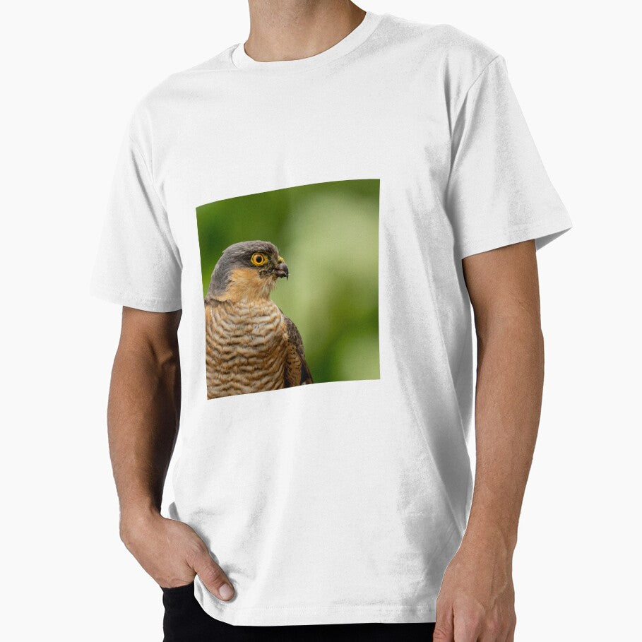 Sparrowhawk by JackBranscombe