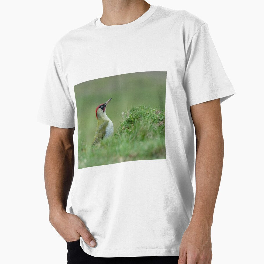 Green Woodpecker by JackBranscombe