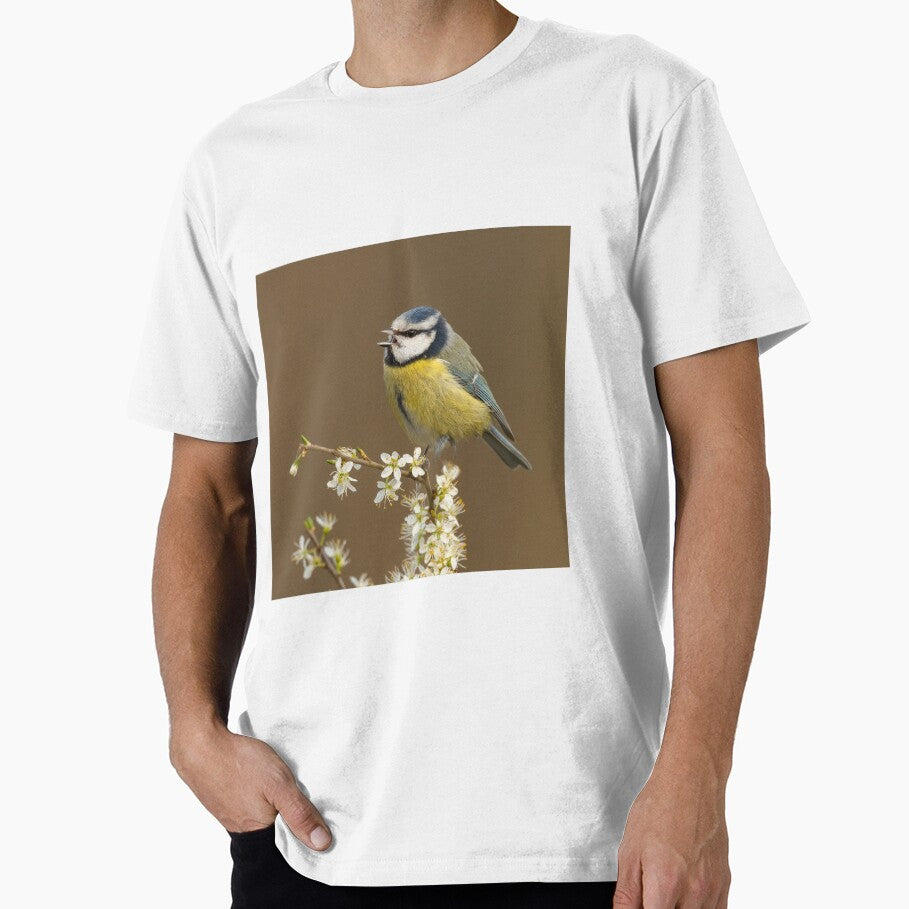 Blue tit singing by JackBranscombe