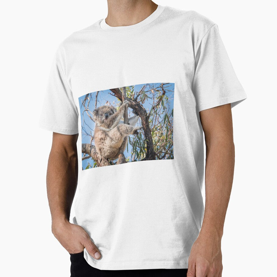 Koala by Avery Caudill